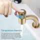 Single Handle One Hole Brass Vanity Sink Faucet, Bathroom Faucet Modern Bathroom Tap Easy Control of Cold and Hot, Brushed Gold Finish