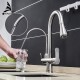 Water Filter Kitchen Faucet Pull Out Bathroom Kitchen Faucet in Matte Black Swivel Kitchen Faucet Filler Solid Brass Filter